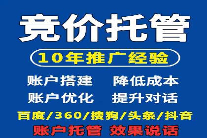 专业SEM托管服务成功案例分享